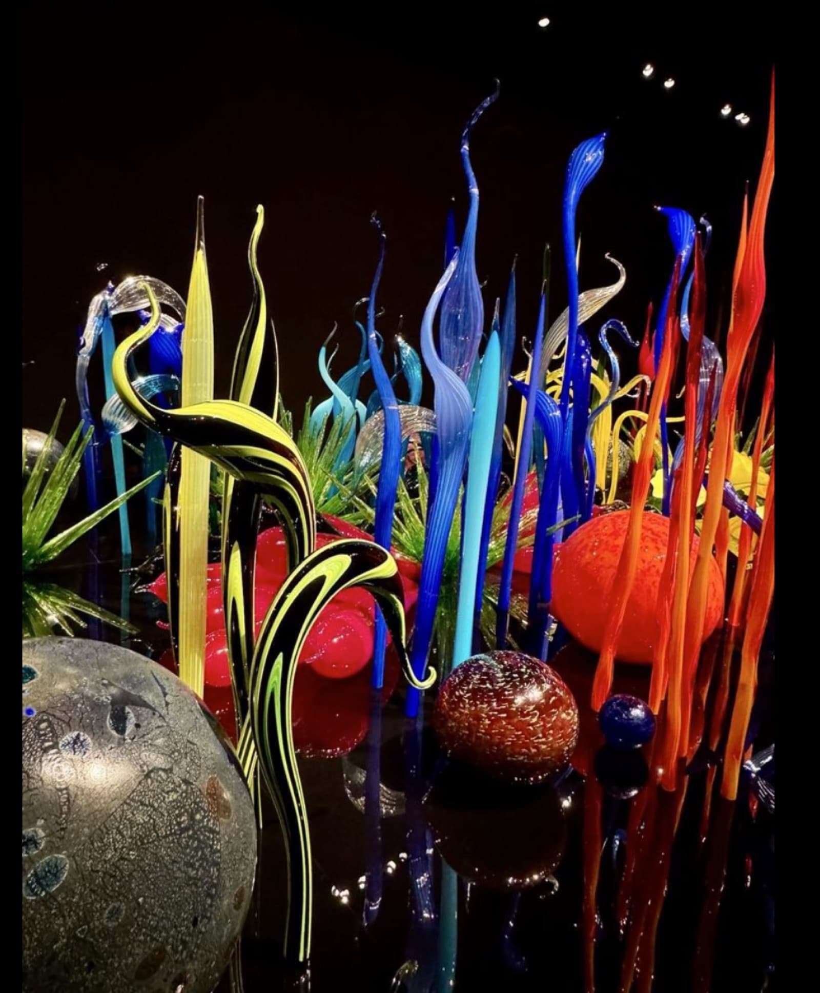 Chihuly Garden and Glass - photo 2