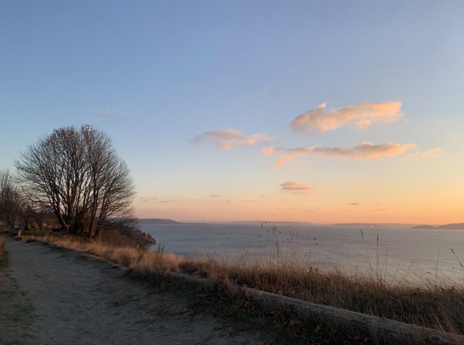 Discovery Park - photo 1