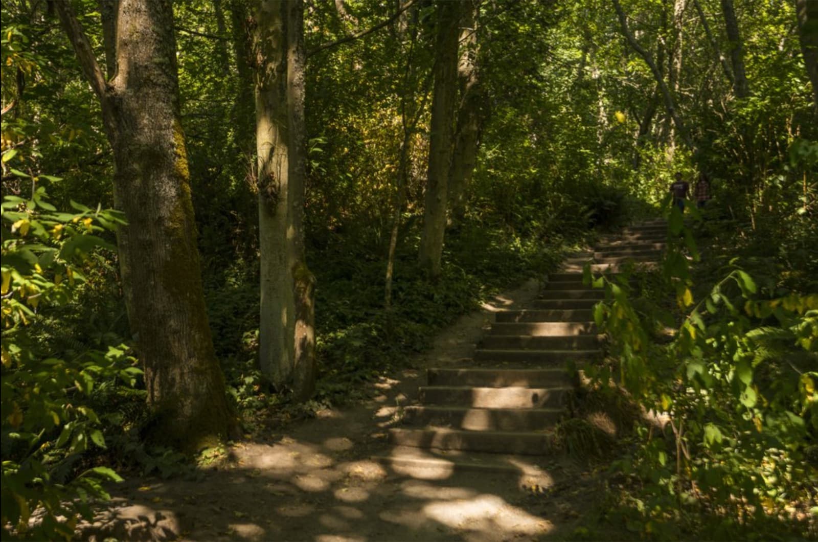 Discovery Park - photo 2