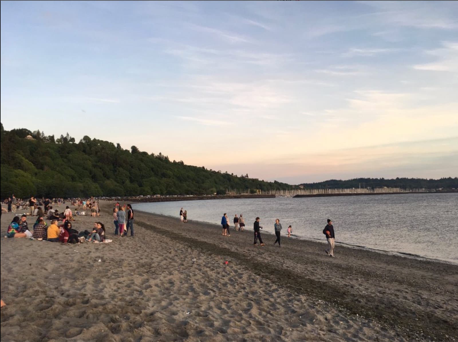 Golden Gardens - photo 2