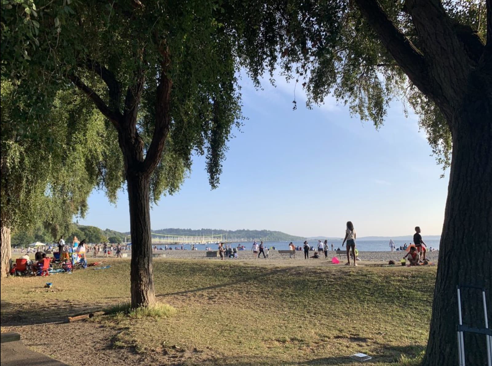 Golden Gardens - photo 3