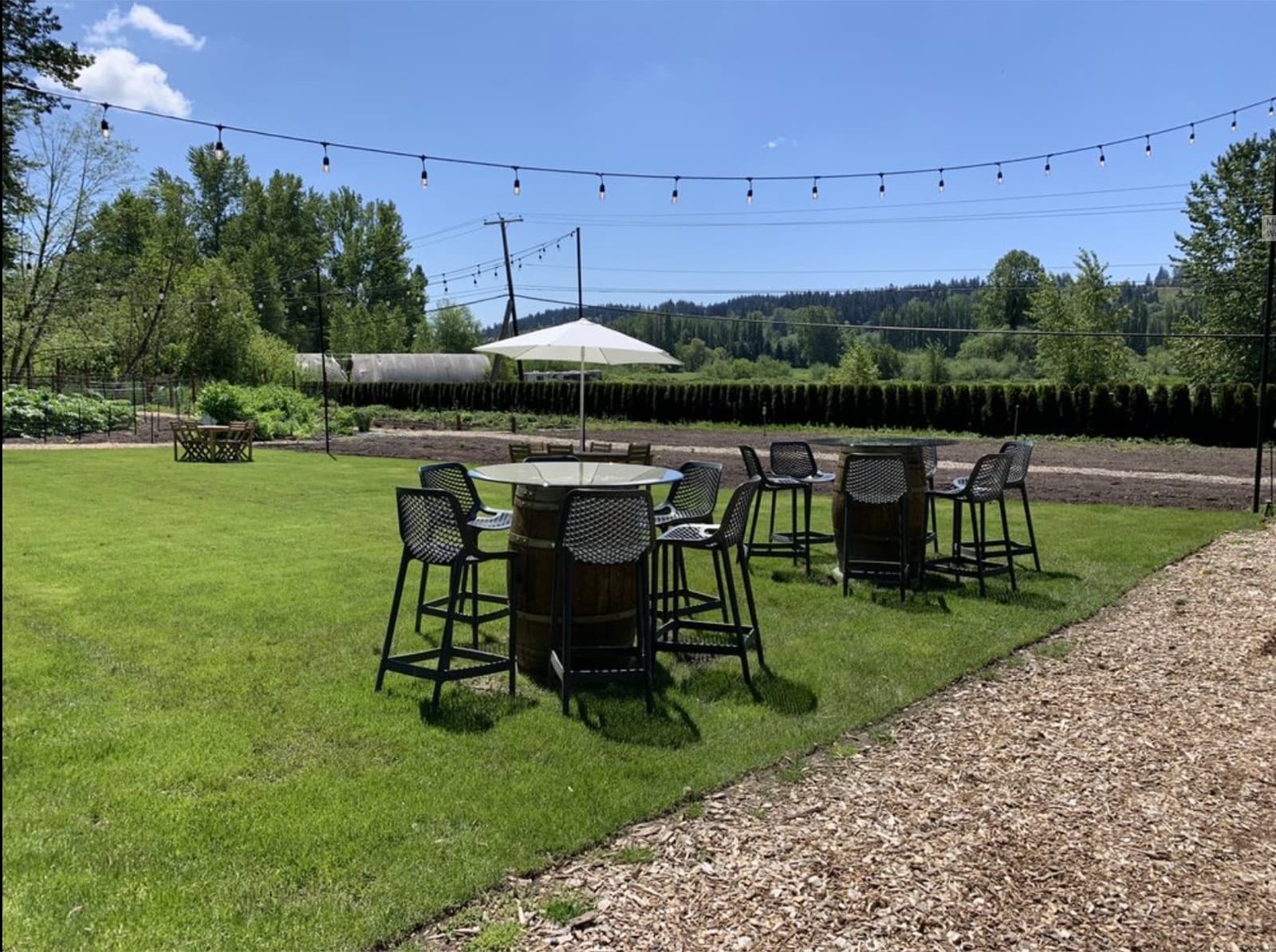 Matthews Winery - photo 2