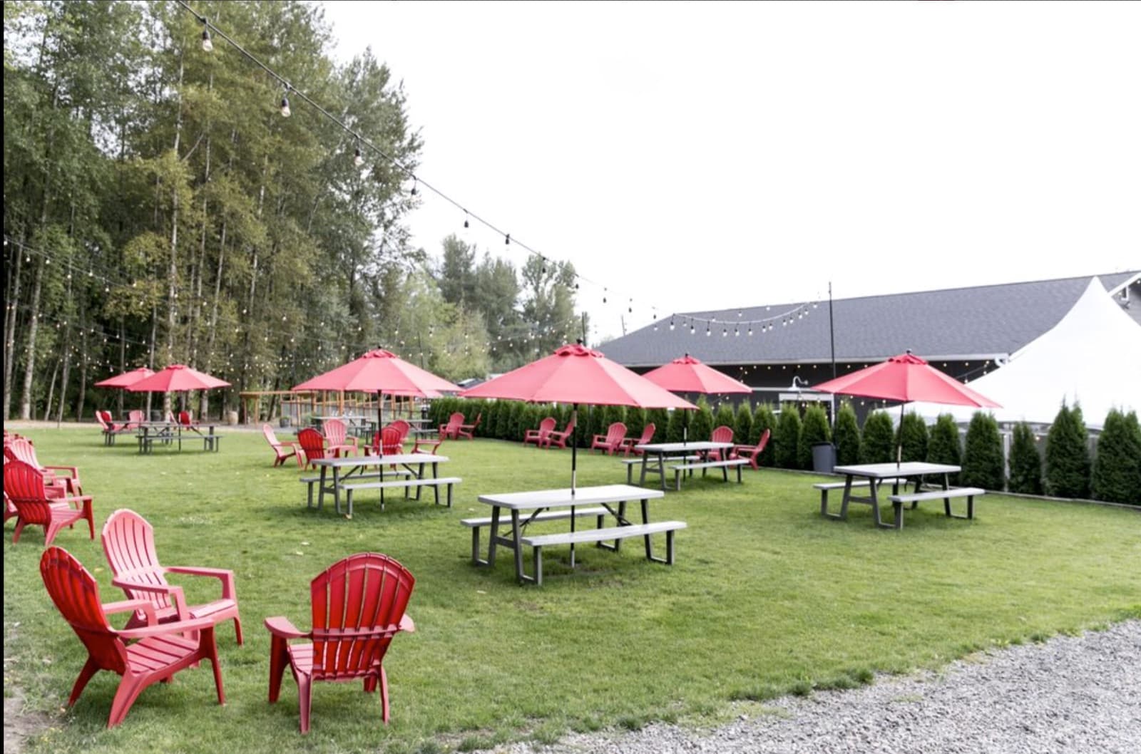 Matthews Winery - photo 3