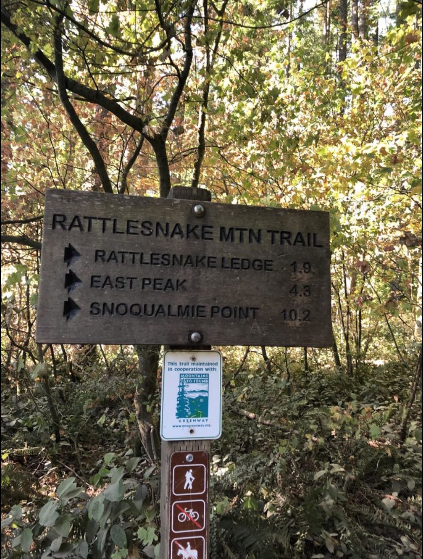 Rattlesnake Mountain - photo 2
